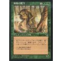 [EX]新緑の魔力/Verdant Force《日本語》【TMP】