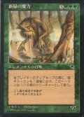 [EX]新緑の魔力/Verdant Force《日本語》【TMP】