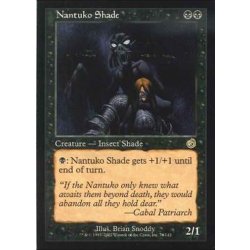 画像1: [EX+]ナントゥーコの影/Nantuko Shade《英語》【TOR】