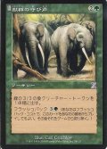 [EX]獣群の呼び声/Call of the Herd《日本語》【TSB】