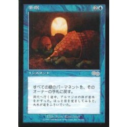 画像1: [EX+]冬眠/Hibernation《日本語》【USG】