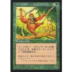画像1: [EX]ウークタビー・オランウータン/Uktabi Orangutan《日本語》【VIS】