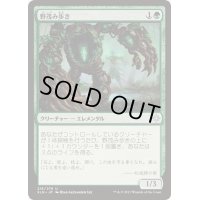 (FOIL)野茂み歩き/Wildgrowth Walker《日本語》【XLN】