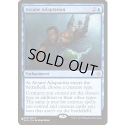 画像1: 秘儀での順応/Arcane Adaptation《英語》【Reprint Cards(Secret Lair Commander)】