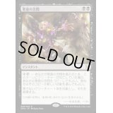 [EX+]悪意の苦悶/Malicious Affliction《日本語》【EMA】