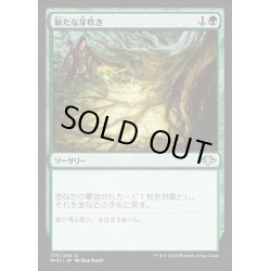 画像1: [EX+](FOIL)新たな芽吹き/Regrowth《日本語》【MH1】