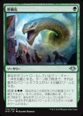 [EX+]厚鱗化/Scale Up《日本語》【MH1】
