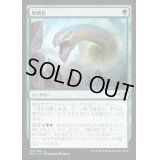 厚鱗化/Scale Up《日本語》【MH1】