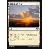 隔離されたステップ/Secluded Steppe《日本語》【MH1】