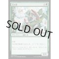 (FOIL)花の壁/Wall of Blossoms《日本語》【MH1】