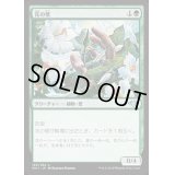 花の壁/Wall of Blossoms《日本語》【MH1】