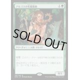 [HPLD]アルゴスの女魔術師/Argothian Enchantress《日本語》【EMA】