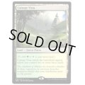 [HPLD]梢の眺望/Canopy Vista《英語》【Open House Promos(BFZ)】