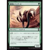 敏捷なマングース/Nimble Mongoose《日本語》【EMA】