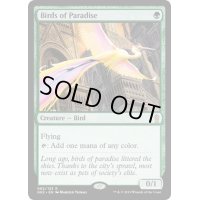 [EX]極楽鳥/Birds of Paradise《日本語》【Ravnica Allegiance: Guild Kits(Gruul)】