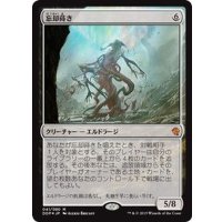 [EX]忘却蒔き/Oblivion Sower《日本語》【Duel Decks: Zendikar vs. Eldrazi】