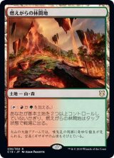 燃えがらの林間地/Cinder Glade《日本語》【Commander 2019】