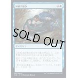 [EX]神秘の論争/Mystical Dispute《日本語》【ELD】