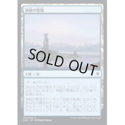 画像1: [EX](FOIL)神秘の聖域/Mystic Sanctuary《日本語》【ELD】