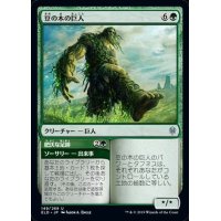 豆の木の巨人/Beanstalk Giant《日本語》【ELD】
