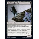 [EX+]大釜の使い魔/Cauldron Familiar《英語》【ELD】