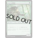 エルフの神秘家/Elvish Mystic《日本語》【Commander 2014】