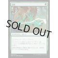 怨恨/Rancor《日本語》【EMA】