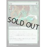 怨恨/Rancor《日本語》【EMA】