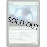 [EX+]実験体/Experiment One《日本語》【Ravnica Allegiance: Guild Kits(Simic)】