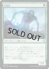 [EX+]実験体/Experiment One《日本語》【Ravnica Allegiance: Guild Kits(Simic)】