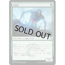 画像1: [EX+]実験体/Experiment One《日本語》【Ravnica Allegiance: Guild Kits(Simic)】