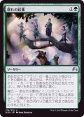 [EX+]群れの結集/Gather the Pack《日本語》【ORI】