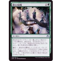 [EX+]群れの結集/Gather the Pack《日本語》【ORI】