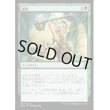 激励/Invigorate《日本語》【EMA】
