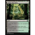 [EX+]ゴルガリの腐敗農場/Golgari Rot Farm《英語》【IMA】