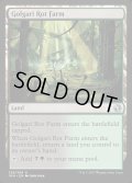ゴルガリの腐敗農場/Golgari Rot Farm《英語》【IMA】