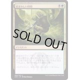 [EX+]忌まわしい回収/Grisly Salvage《日本語》【Guilds of Ravnica: Guild Kits(Golgari)】