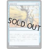 [EX+]秘儀の否定/Arcane Denial《日本語》【Commander 2016】