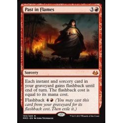 画像1: 炎の中の過去/Past in Flames《英語》【MM3】