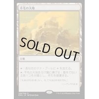 [HPLD]不毛の大地/Wasteland《日本語》【EMA】