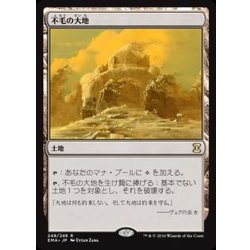 画像1: [EX+]不毛の大地/Wasteland《日本語》【EMA】