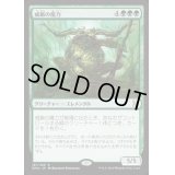 [EX+]威厳の魔力/Regal Force《日本語》【Duel Decks: Elves vs. Inventors】