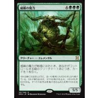 [EX+]威厳の魔力/Regal Force《日本語》【Duel Decks: Elves vs. Inventors】