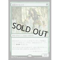 [HPLD]遺産のドルイド/Heritage Druid《日本語》【EMA】