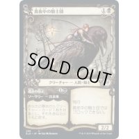 (ショーケース枠)真夜中の騎士団/Order of Midnight《日本語》【ELD】
