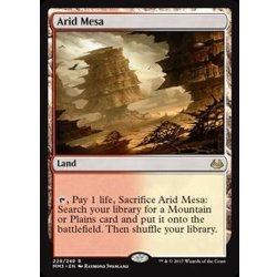 画像1: [EX+]乾燥台地/Arid Mesa《英語》【MM3】