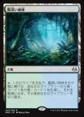 [PLD]霧深い雨林/Misty Rainforest《日本語》【MM3】