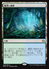 [EX+]霧深い雨林/Misty Rainforest《日本語》【MM3】