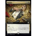(フルアート)生命保険/Life Insurance《日本語》【NCC】
