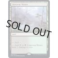 [EX+]ラノワールの荒原/Llanowar Wastes《英語》【Commander 2019】